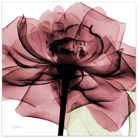 Empire Art Direct 24" x 24" Chianti Rose II Frameless Free Floating Printed Tempered Glass Wall Art